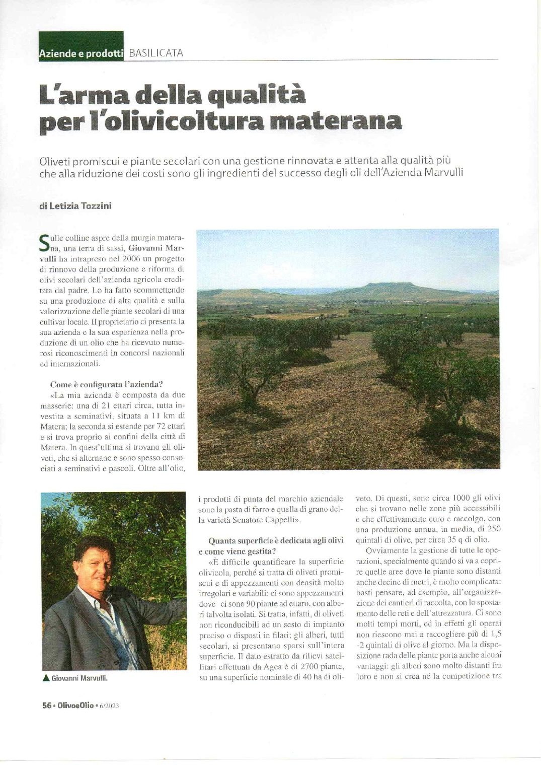 OlivoeOlio 6/2023, articolo L'arma della qualità per l'olivicoltura materana, prima pagina