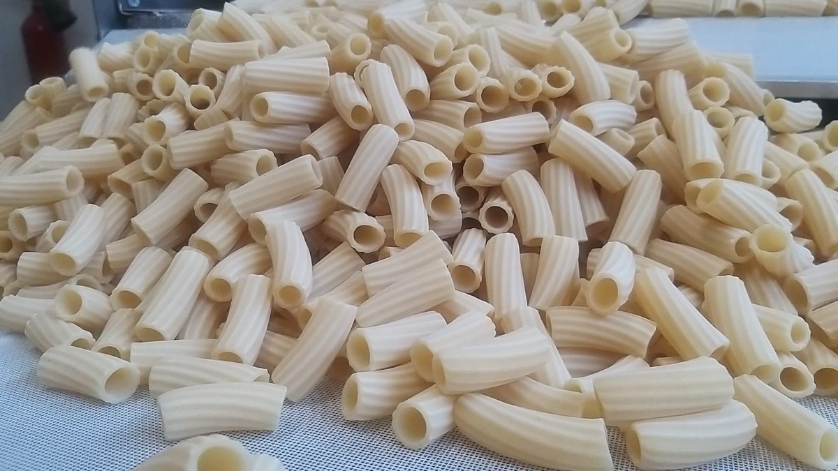 Maccheroni di grano Senatore Cappelli appena trafilati